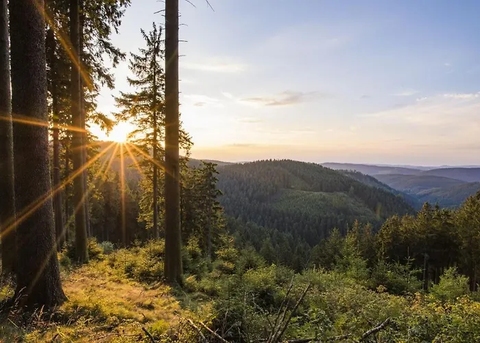 Apartamento Ferienwohnung Winterberg *