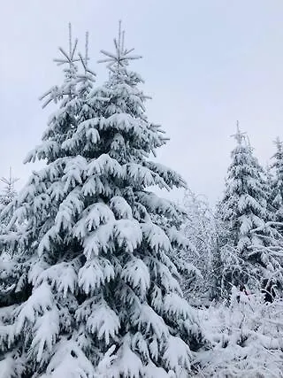 Ferienwohnung Winterberg 公寓 *